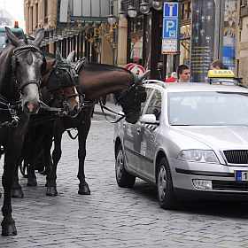 Transfery po Praze - Turistický servis