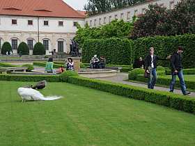 Valdštejnský palác - Malá Strana